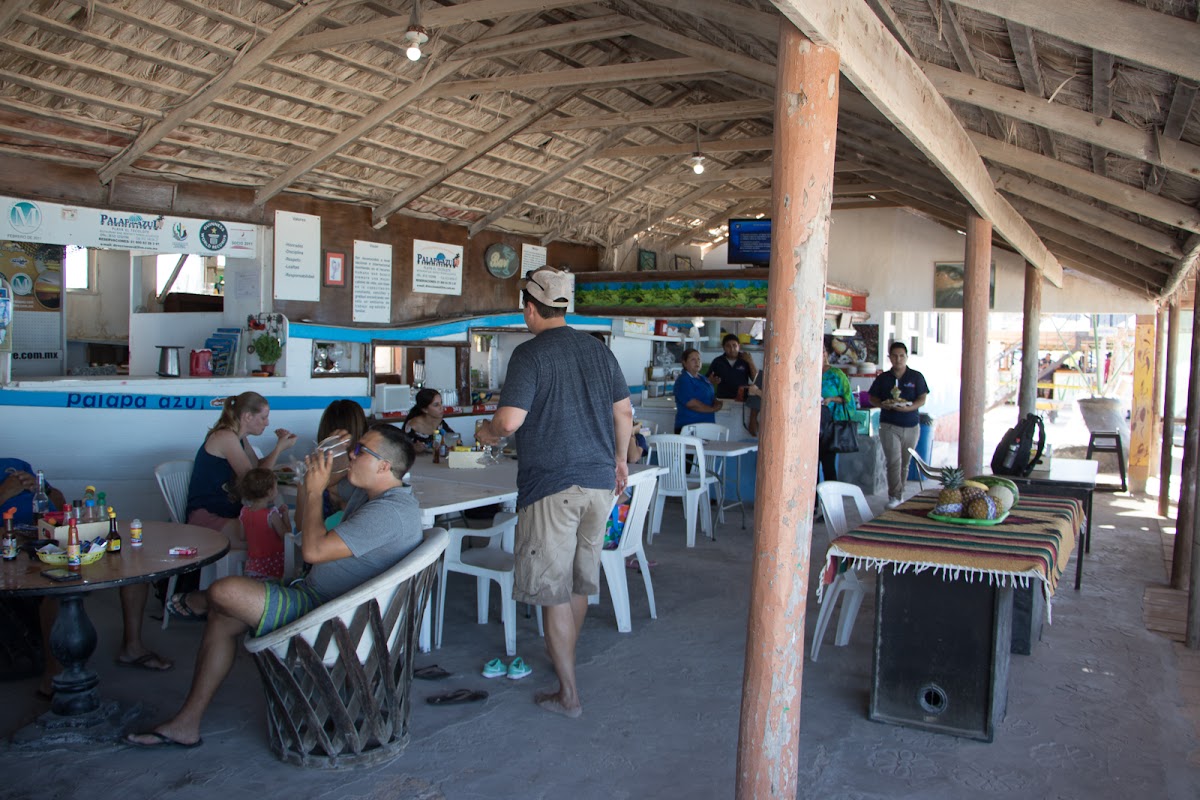 Palapa Azul